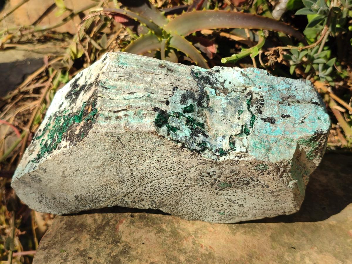 Natural Large Drusy Coated Chrysocolla Specimen with Dendrites and Malachite x 1 From Lupoto Mine, Congo - Toprock Gemstones and Minerals 
