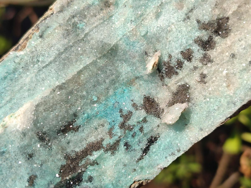 Natural Large Drusy Coated Chrysocolla Specimen with Dendrites and Malachite x 1 From Lupoto Mine, Congo - Toprock Gemstones and Minerals 