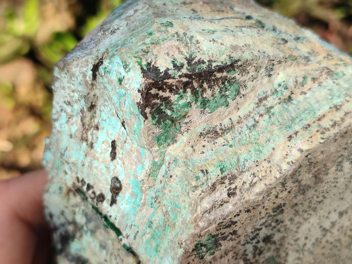 Natural Large Drusy Coated Chrysocolla Specimen with Dendrites and Malachite x 1 From Lupoto Mine, Congo - Toprock Gemstones and Minerals 