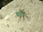 Natural Large Drusy Coated Chrysocolla Specimen with Dendrites and Malachite x 1 From Lupoto Mine, Congo - Toprock Gemstones and Minerals 
