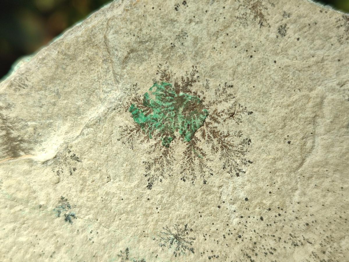 Natural Large Drusy Coated Chrysocolla Specimen with Dendrites and Malachite x 1 From Lupoto Mine, Congo - Toprock Gemstones and Minerals 