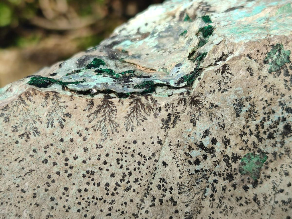 Natural Large Drusy Coated Chrysocolla Specimen with Dendrites and Malachite x 1 From Lupoto Mine, Congo - Toprock Gemstones and Minerals 