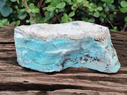 Natural Large Drusy Coated Chrysocolla Specimen with Dendrites and Malachite x 1 From Lupoto Mine, Congo - Toprock Gemstones and Minerals 