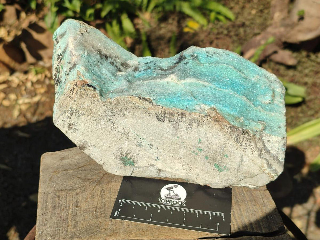 Natural Large Drusy Coated Chrysocolla Specimen with Dendrites and Malachite x 1 From Lupoto Mine, Congo - Toprock Gemstones and Minerals 
