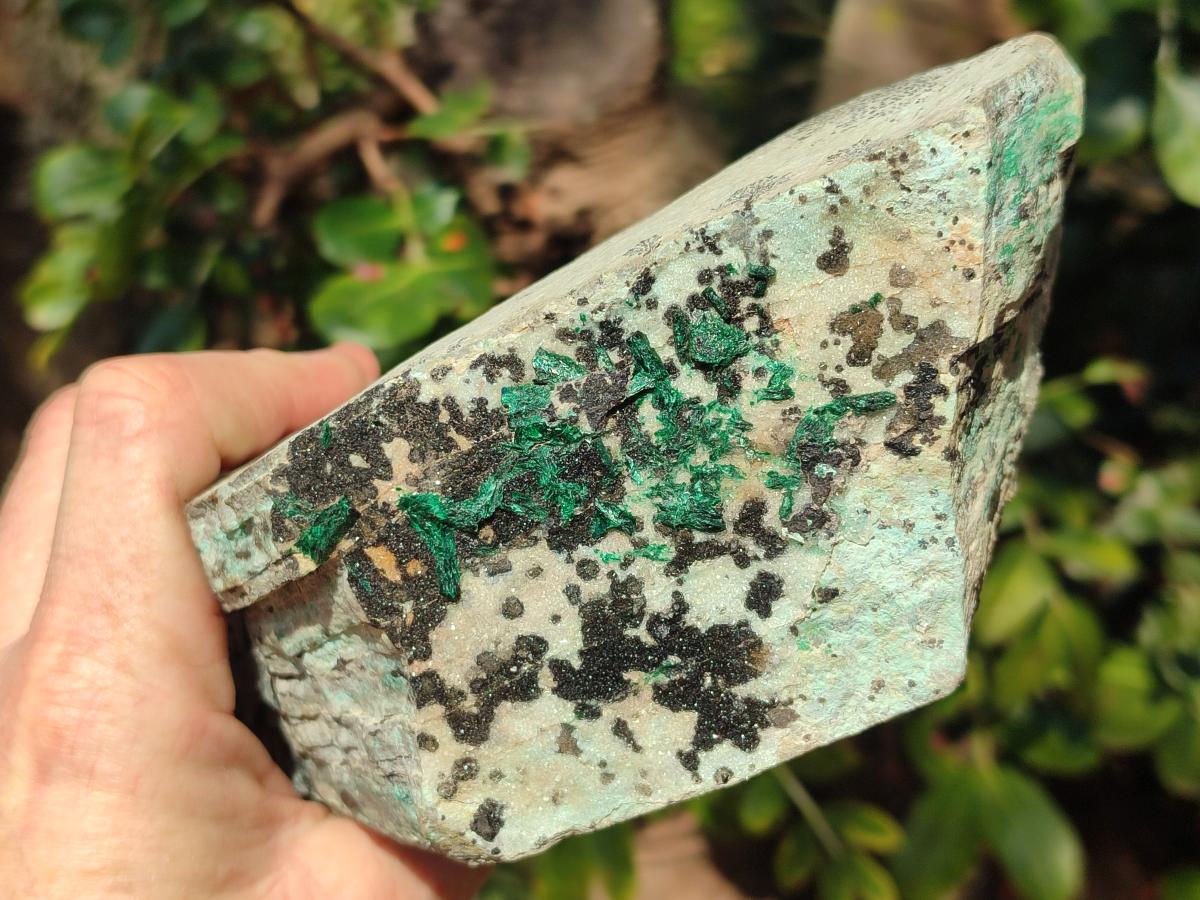 Natural Large Drusy Coated Chrysocolla Specimen with Dendrites and Malachite x 1 From Lupoto Mine, Congo - Toprock Gemstones and Minerals 