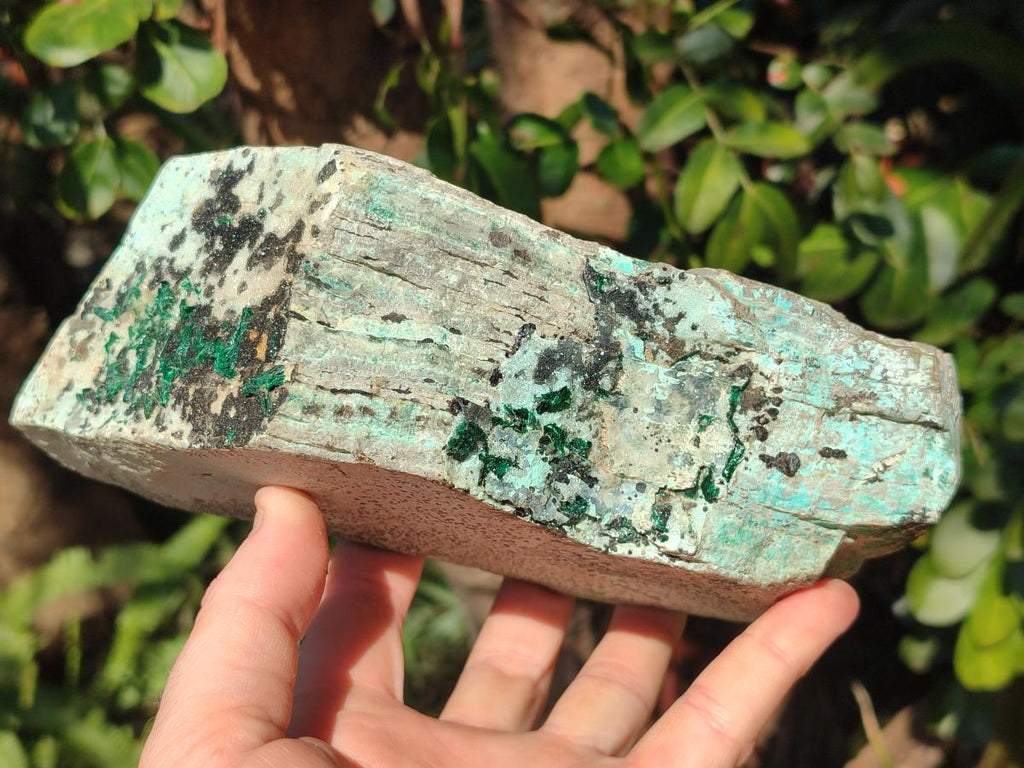 Natural Large Drusy Coated Chrysocolla Specimen with Dendrites and Malachite x 1 From Lupoto Mine, Congo - Toprock Gemstones and Minerals 