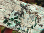 Natural Large Drusy Coated Chrysocolla Specimen with Dendrites and Malachite x 1 From Lupoto Mine, Congo - Toprock Gemstones and Minerals 