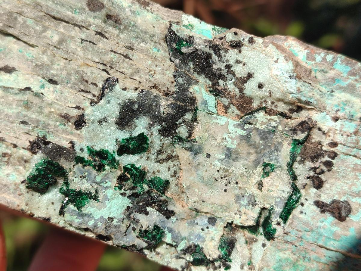 Natural Large Drusy Coated Chrysocolla Specimen with Dendrites and Malachite x 1 From Lupoto Mine, Congo - Toprock Gemstones and Minerals 
