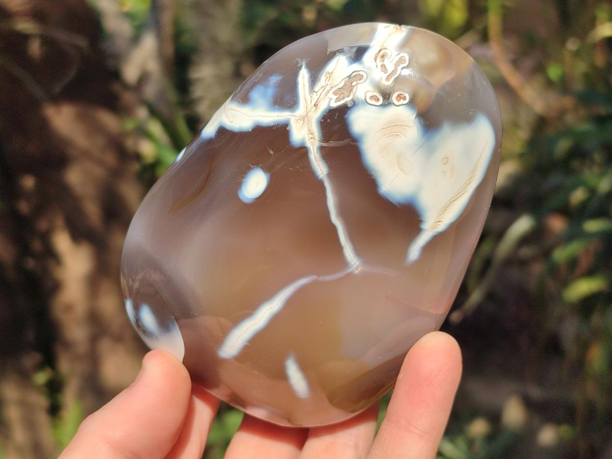 Polished Mixed Agate Standing Display Pieces x 4 From Madagascar - Toprock Gemstones and Minerals 