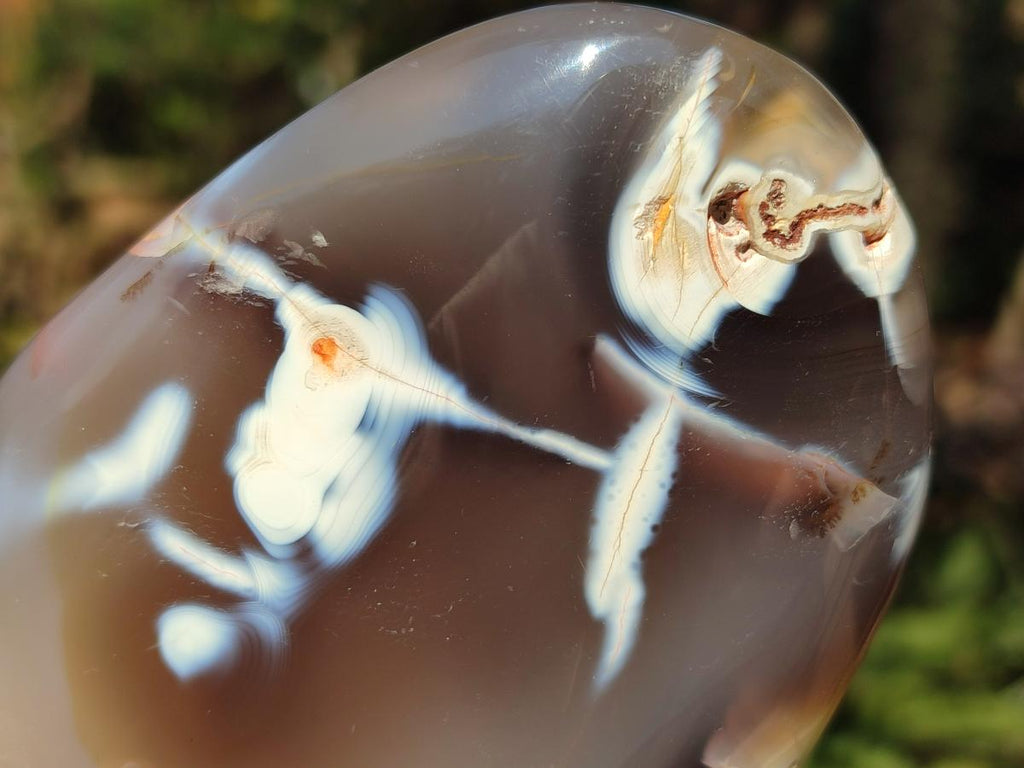 Polished Mixed Agate Standing Display Pieces x 4 From Madagascar - Toprock Gemstones and Minerals 