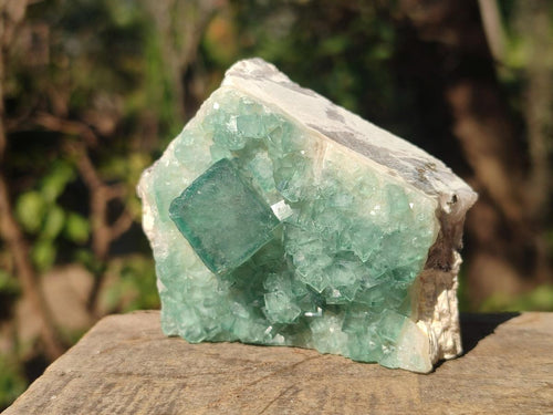 Natural Green Cubic Fluorite Specimens x 6 From Mandrosonoro, Madagascar - Toprock Gemstones and Minerals 
