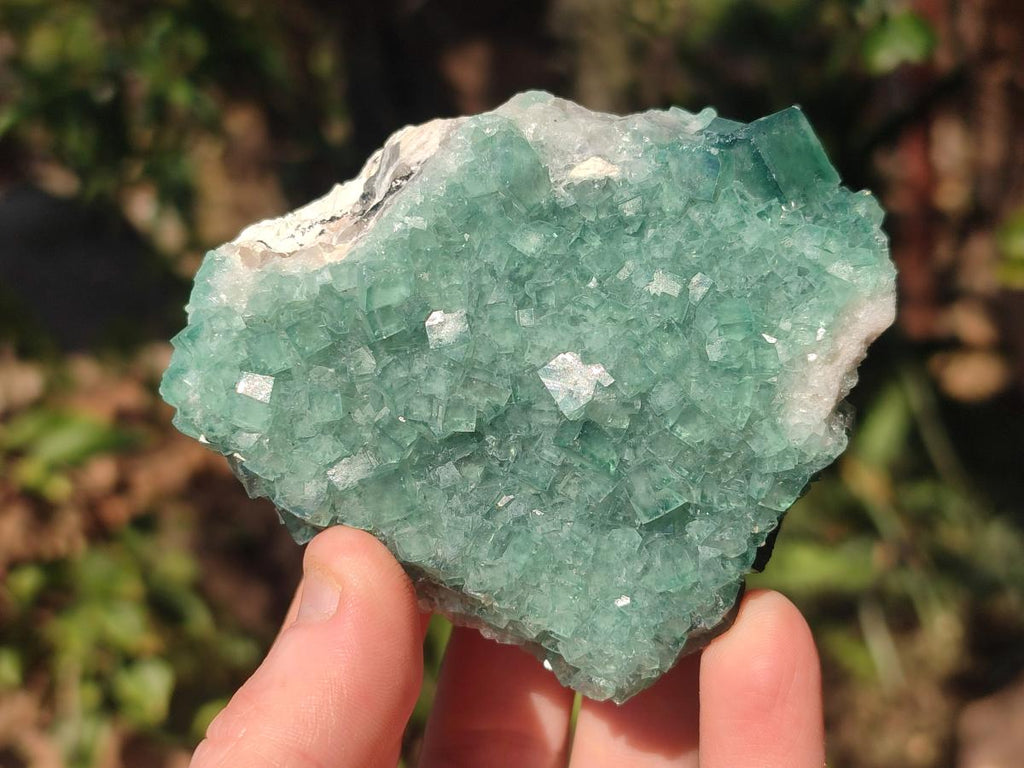 Natural Green Cubic Fluorite Specimens x 6 From Mandrosonoro, Madagascar - Toprock Gemstones and Minerals 