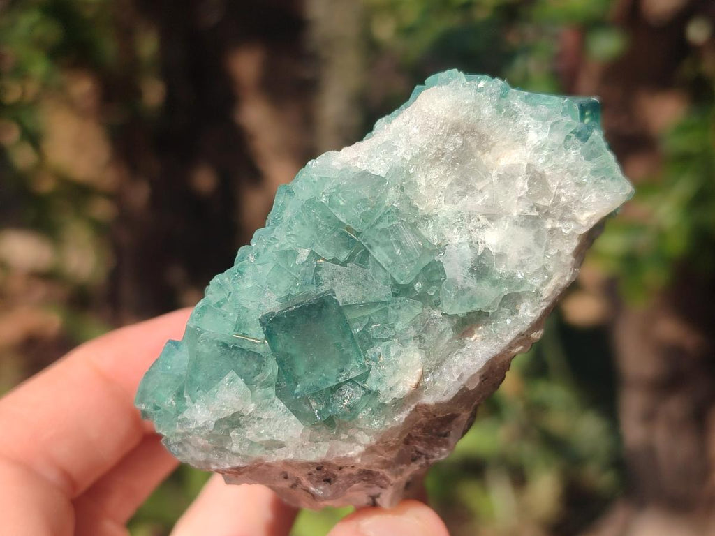 Natural Green Cubic Fluorite Specimens x 6 From Mandrosonoro, Madagascar - Toprock Gemstones and Minerals 