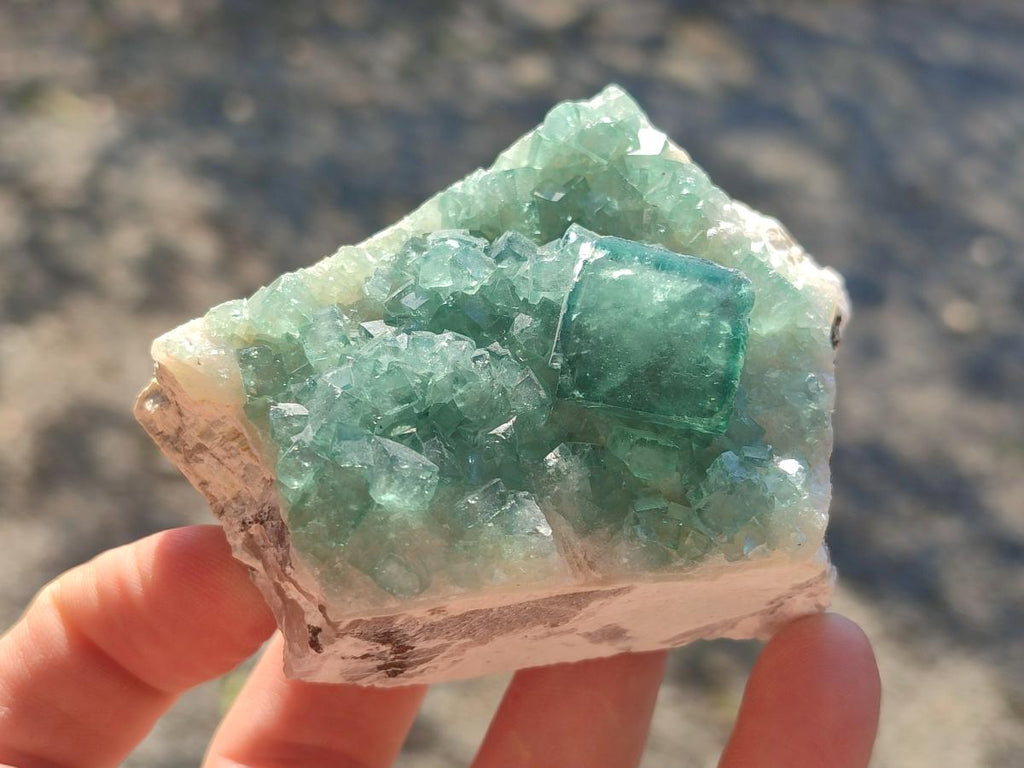 Natural Green Cubic Fluorite Specimens x 6 From Mandrosonoro, Madagascar - Toprock Gemstones and Minerals 