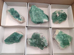 Natural Green Cubic Fluorite Specimens x 6 From Mandrosonoro, Madagascar - Toprock Gemstones and Minerals 