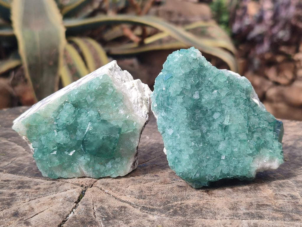 Natural Green Cubic Fluorite Specimens x 6 From Mandrosonoro, Madagascar - Toprock Gemstones and Minerals 