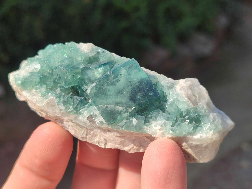 Natural Green Cubic Fluorite Specimens x 6 From Mandrosonoro, Madagascar - Toprock Gemstones and Minerals 