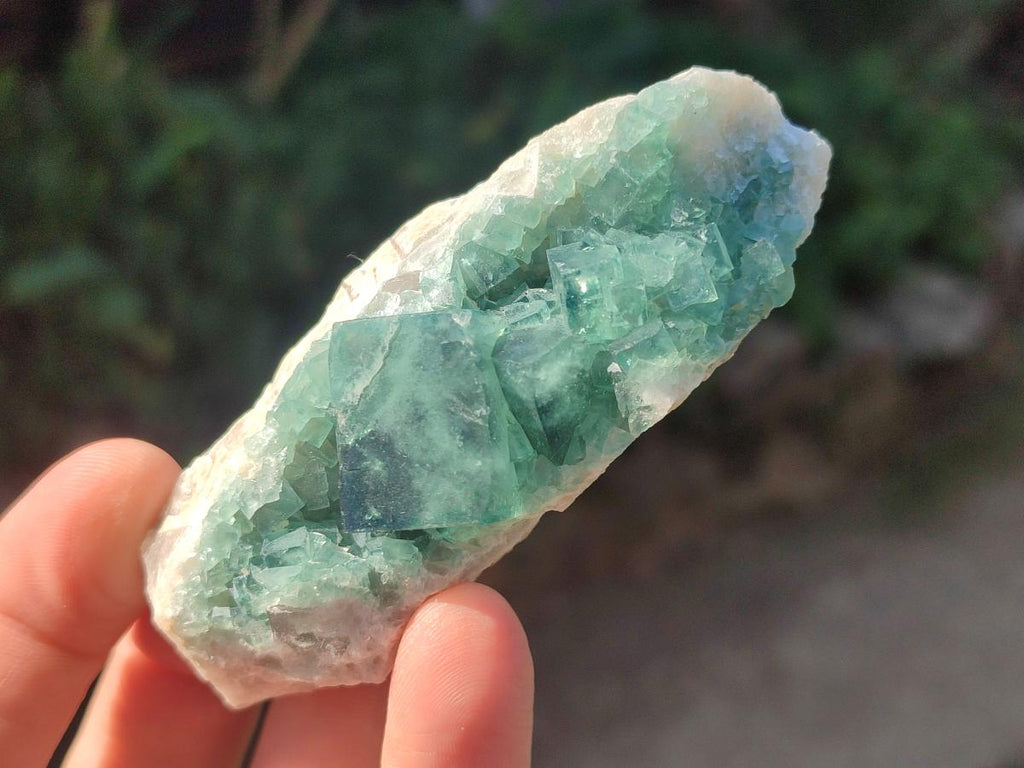 Natural Green Cubic Fluorite Specimens x 6 From Mandrosonoro, Madagascar - Toprock Gemstones and Minerals 