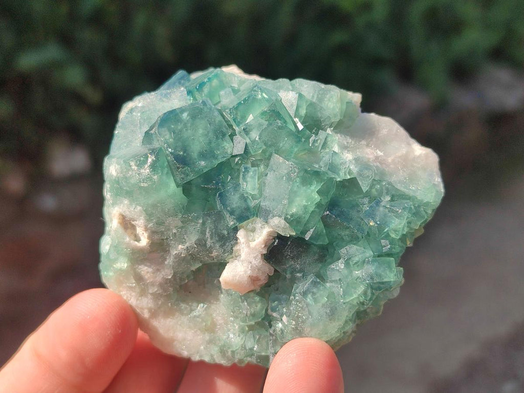 Natural Green Cubic Fluorite Specimens x 6 From Mandrosonoro, Madagascar - Toprock Gemstones and Minerals 