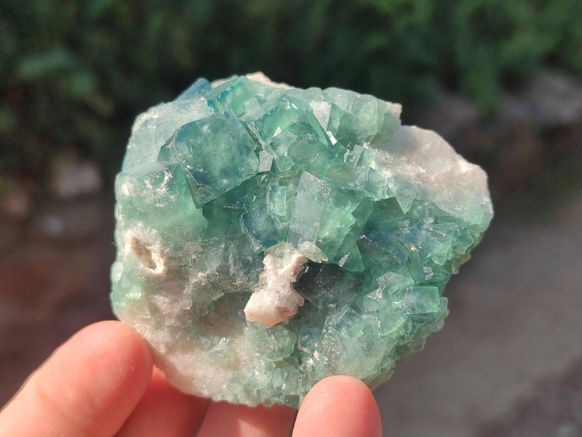 Natural Green Cubic Fluorite Specimens x 6 From Mandrosonoro, Madagascar - Toprock Gemstones and Minerals 