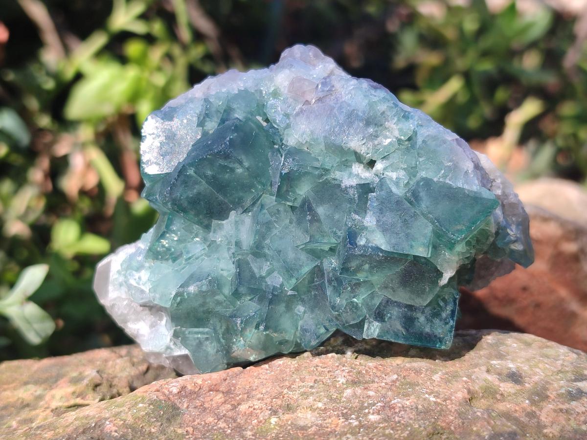 Natural Green Cubic Fluorite Specimens x 6 From Mandrosonoro, Madagascar - Toprock Gemstones and Minerals 