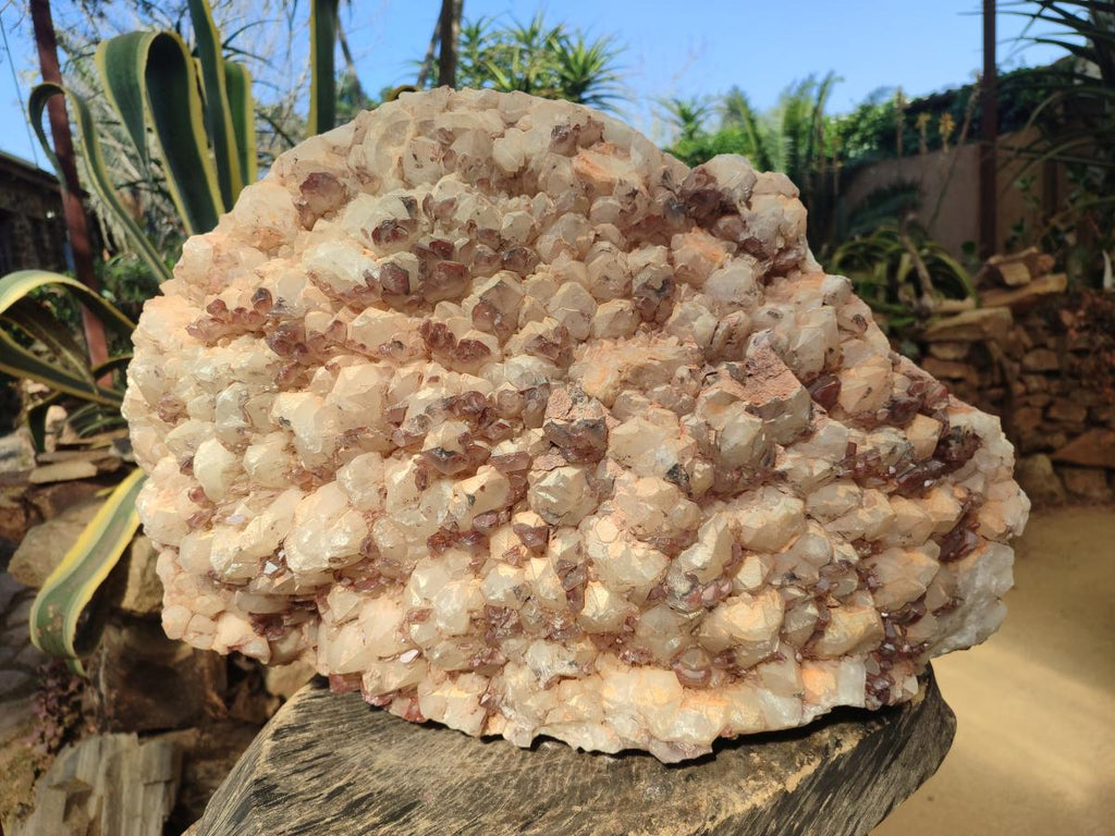 Natural XXL Red Hematoid and White Quartz Crystal Cluster x 1 From Orange River, South Africa - Toprock Gemstones and Minerals 