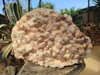 Natural XXL Red Hematoid and White Quartz Crystal Cluster x 1 From Orange River, South Africa - Toprock Gemstones and Minerals 