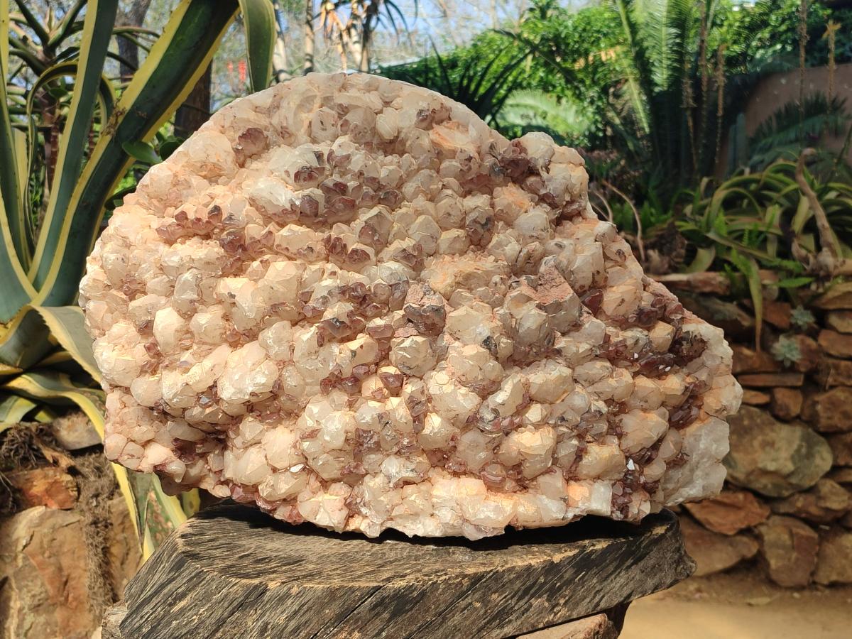 Natural XXL Red Hematoid and White Quartz Crystal Cluster x 1 From Orange River, South Africa - Toprock Gemstones and Minerals 