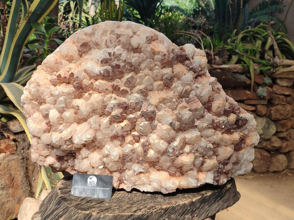 Natural XXL Red Hematoid and White Quartz Crystal Cluster x 1 From Orange River, South Africa - Toprock Gemstones and Minerals 