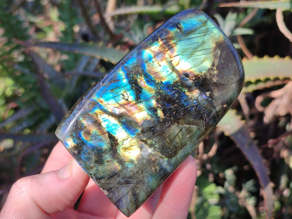 Polished and Natural Multi Mineral Specimens x 7 From Southern Africa - Toprock Gemstones and Minerals 