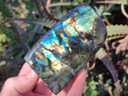 Polished and Natural Multi Mineral Specimens x 7 From Southern Africa - Toprock Gemstones and Minerals 