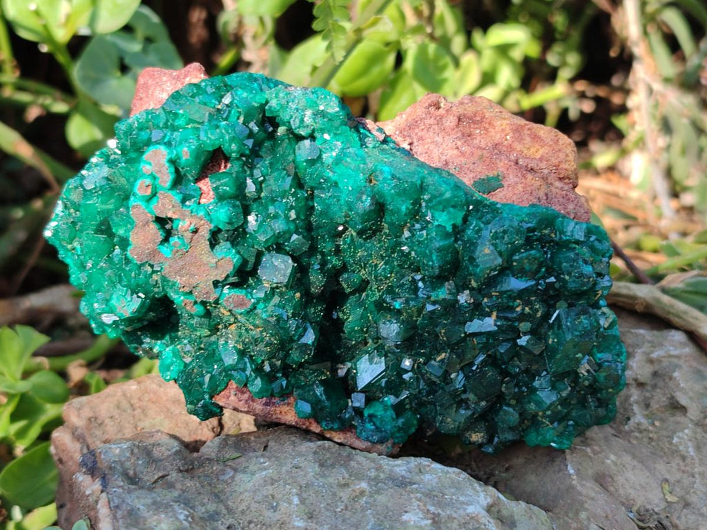 Natural Cabinet Size Dioptase on Red Dolomite Specimens x 2 From Likasi, Congo - Toprock Gemstones and Minerals 