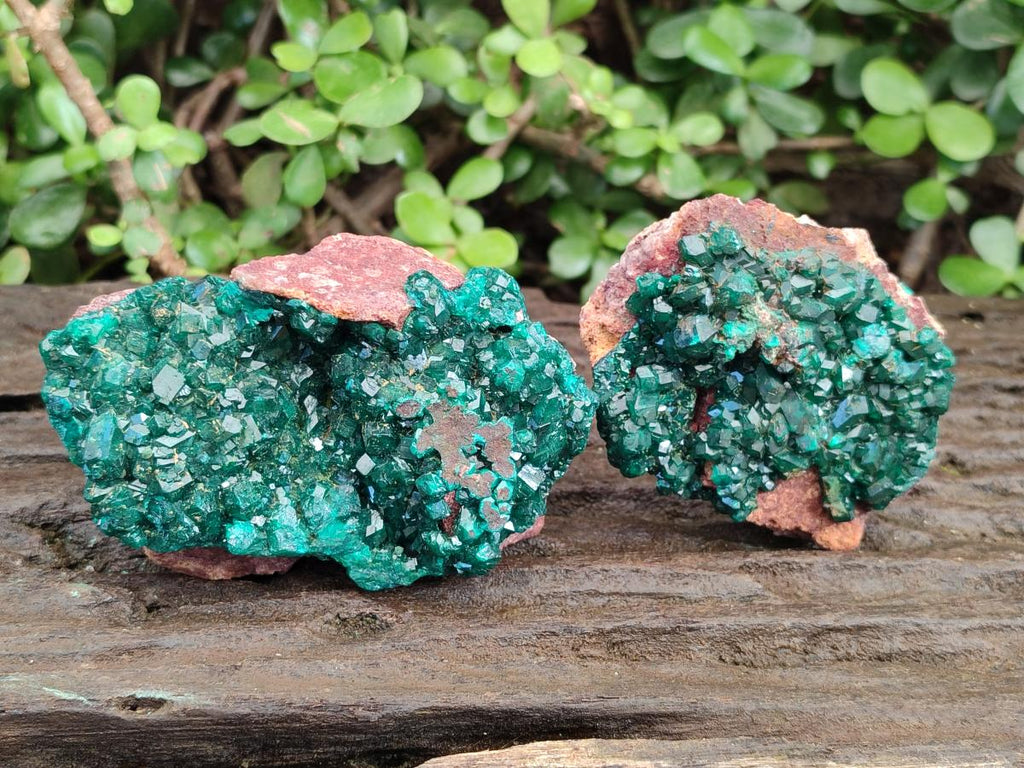 Natural Cabinet Size Dioptase on Red Dolomite Specimens x 2 From Likasi, Congo - Toprock Gemstones and Minerals 