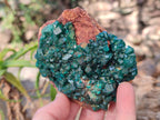 Natural Cabinet Size Dioptase on Red Dolomite Specimens x 2 From Likasi, Congo - Toprock Gemstones and Minerals 