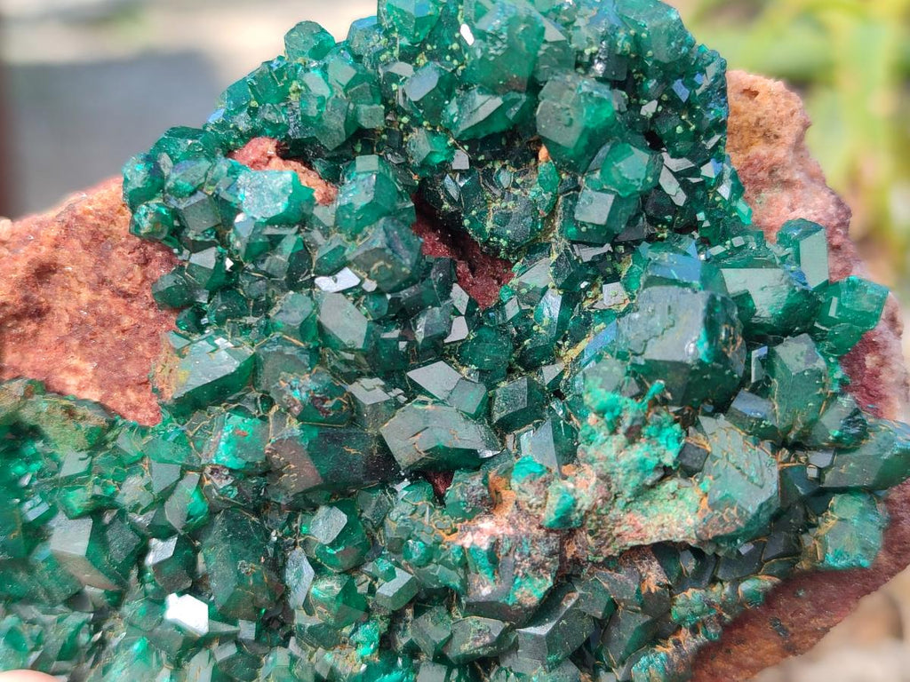 Natural Cabinet Size Dioptase on Red Dolomite Specimens x 2 From Likasi, Congo - Toprock Gemstones and Minerals 