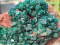Natural Cabinet Size Dioptase on Red Dolomite Specimens x 2 From Likasi, Congo - Toprock Gemstones and Minerals 