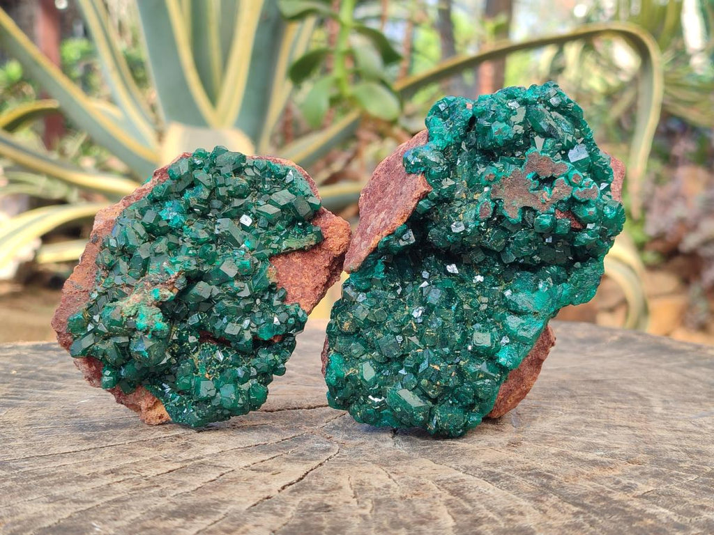 Natural Cabinet Size Dioptase on Red Dolomite Specimens x 2 From Likasi, Congo - Toprock Gemstones and Minerals 