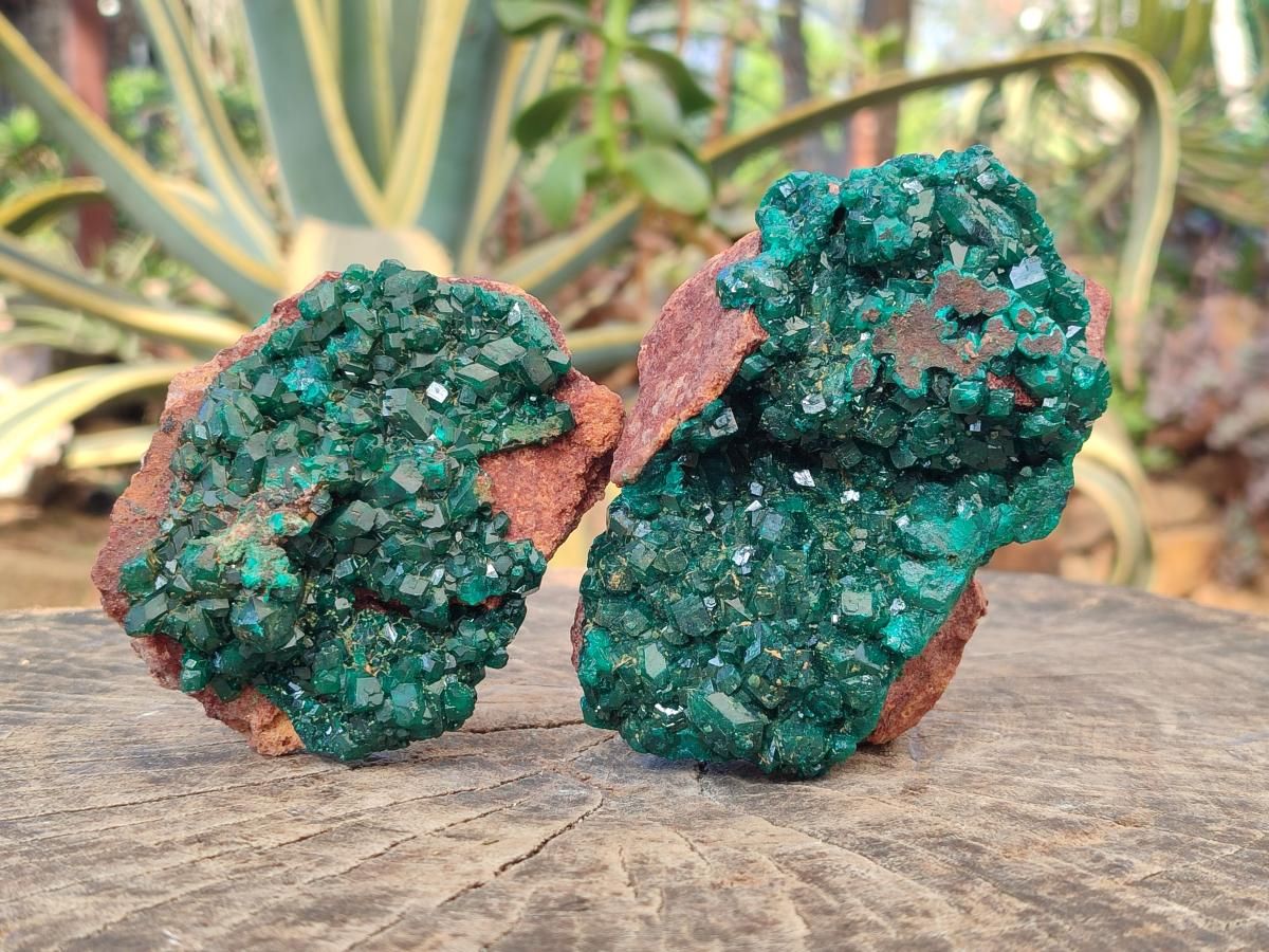 Natural Cabinet Size Dioptase on Red Dolomite Specimens x 2 From Likasi, Congo - Toprock Gemstones and Minerals 