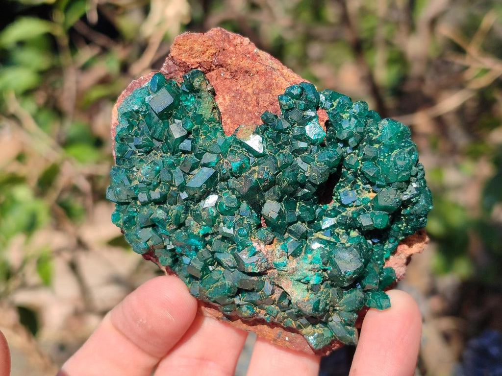 Natural Cabinet Size Dioptase on Red Dolomite Specimens x 2 From Likasi, Congo - Toprock Gemstones and Minerals 
