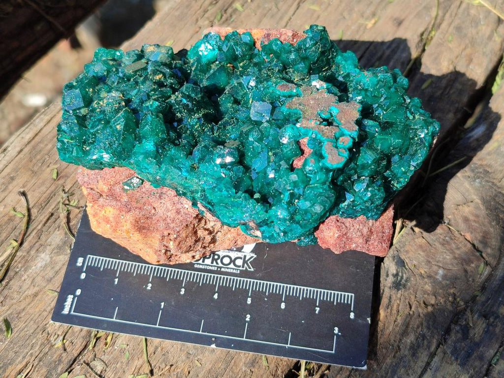 Natural Cabinet Size Dioptase on Red Dolomite Specimens x 2 From Likasi, Congo - Toprock Gemstones and Minerals 