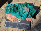 Natural Cabinet Size Dioptase on Red Dolomite Specimens x 2 From Likasi, Congo - Toprock Gemstones and Minerals 