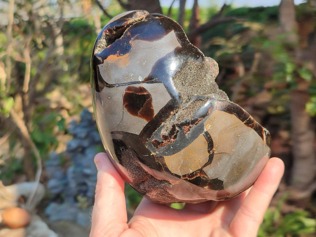 Polished and Natural Septerye Sauvage "Dragons Egg" Geodes x 2 From Mahajanga, Madagascar - Toprock Gemstones and Minerals 