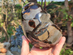 Polished and Natural Septerye Sauvage "Dragons Egg" Geodes x 2 From Mahajanga, Madagascar - Toprock Gemstones and Minerals 