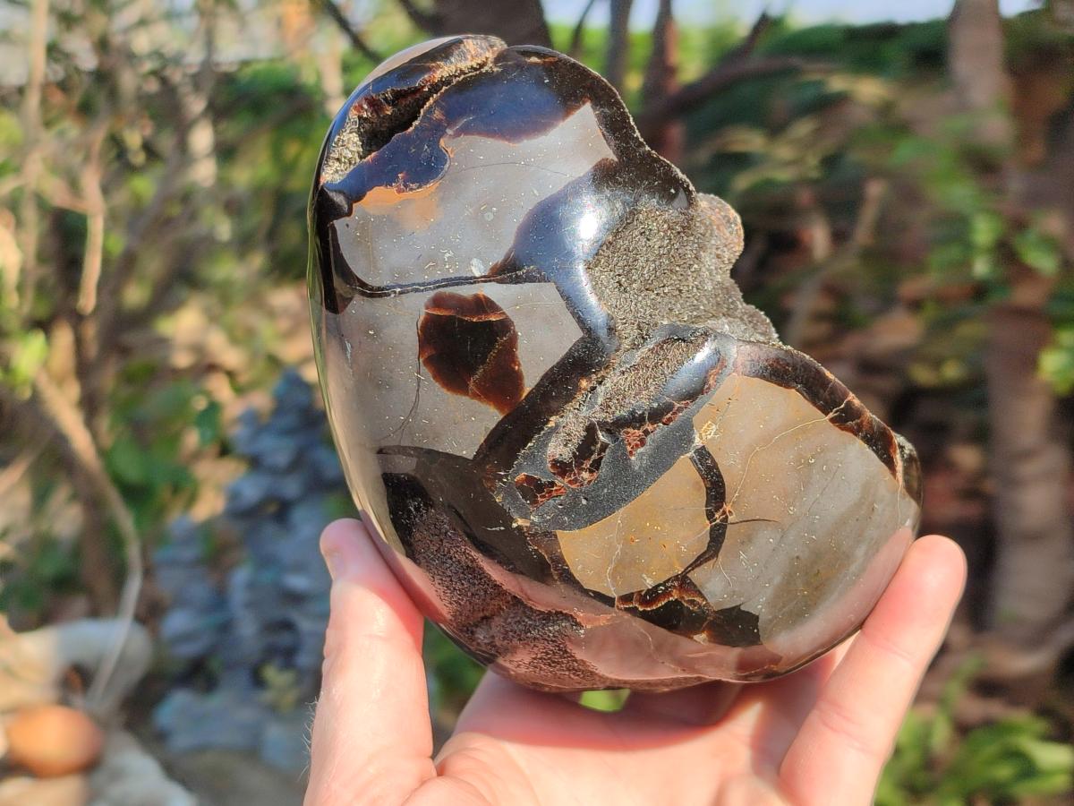 Polished and Natural Septerye Sauvage "Dragons Egg" Geodes x 2 From Mahajanga, Madagascar - Toprock Gemstones and Minerals 