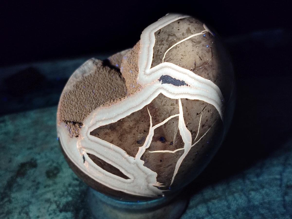 Polished and Natural Septerye Sauvage "Dragons Egg" Geodes x 2 From Mahajanga, Madagascar - Toprock Gemstones and Minerals 