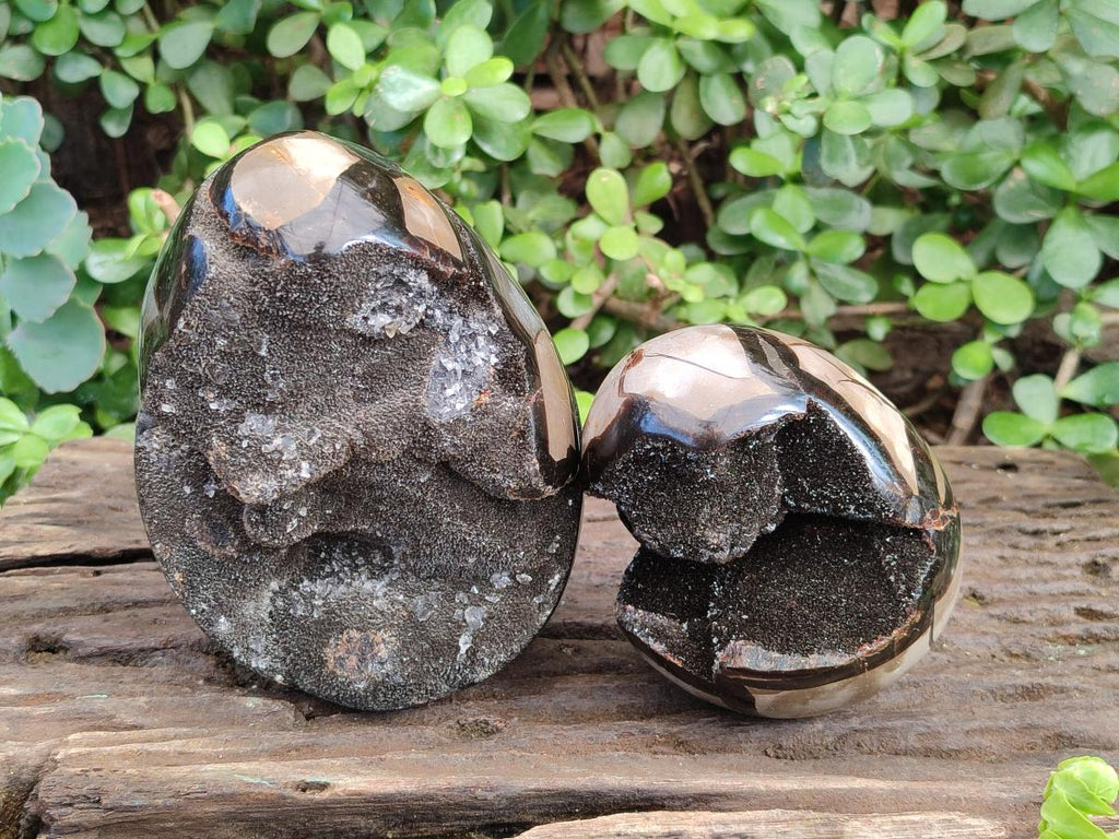 Polished and Natural Septerye Sauvage "Dragons Egg" Geodes x 2 From Mahajanga, Madagascar - Toprock Gemstones and Minerals 