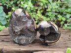 Polished and Natural Septerye Sauvage "Dragons Egg" Geodes x 2 From Mahajanga, Madagascar - Toprock Gemstones and Minerals 