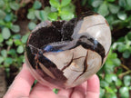 Polished and Natural Septerye Sauvage "Dragons Egg" Geodes x 2 From Mahajanga, Madagascar - Toprock Gemstones and Minerals 