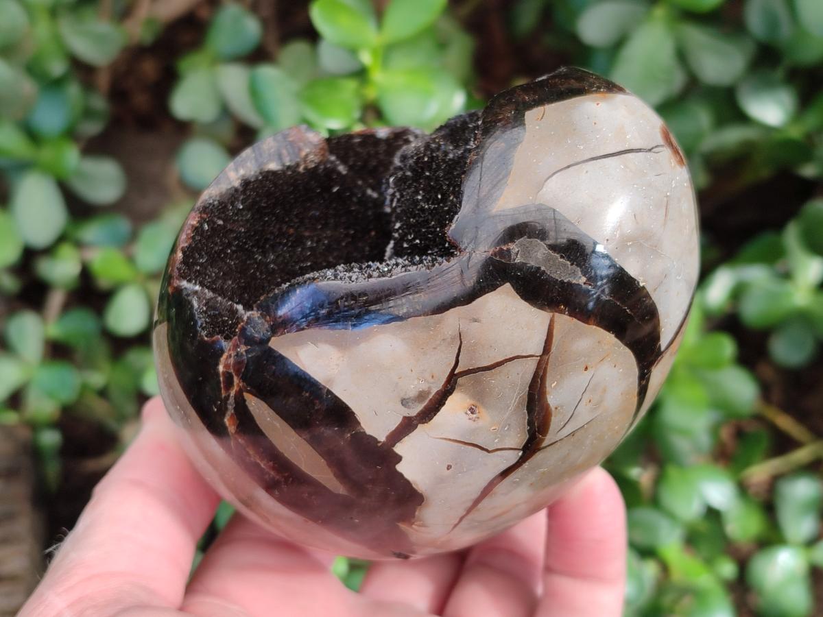 Polished and Natural Septerye Sauvage "Dragons Egg" Geodes x 2 From Mahajanga, Madagascar - Toprock Gemstones and Minerals 