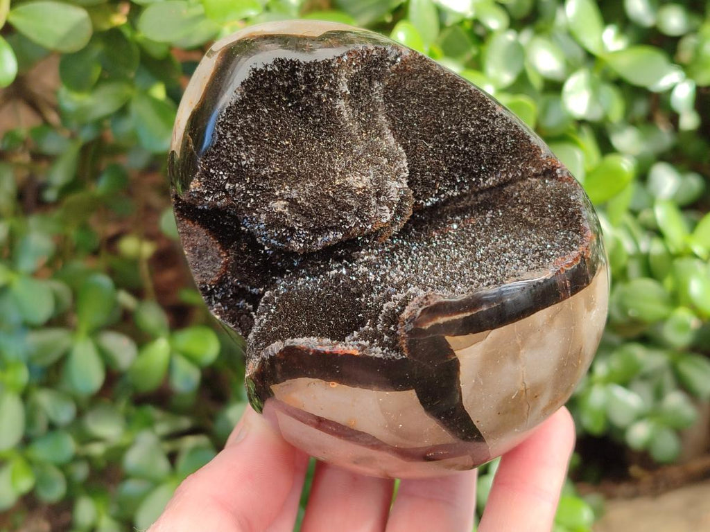 Polished and Natural Septerye Sauvage "Dragons Egg" Geodes x 2 From Mahajanga, Madagascar - Toprock Gemstones and Minerals 